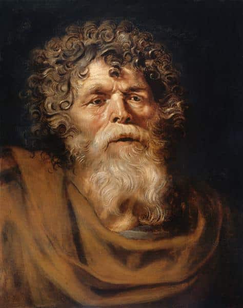 Testa di un vecchio uomo – Peter Paul Rubens Peter Paul Rubens 2024-09-19