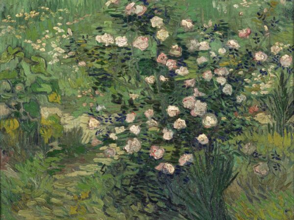 Le rose – Van Gogh Vincent Van Gogh 2024-11-21