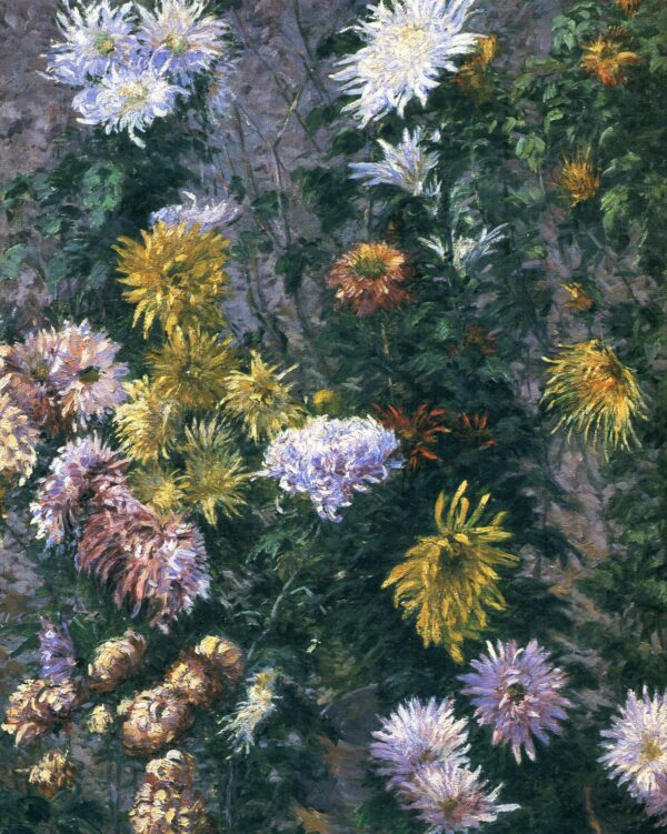 Chrysanthèmes bianchi e gialli – Caillebotte Gustave Caillebotte 2025-01-29