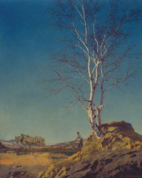 Bouleau bianco – Maxfield Parrish Maxfield Parrish 2024-11-13