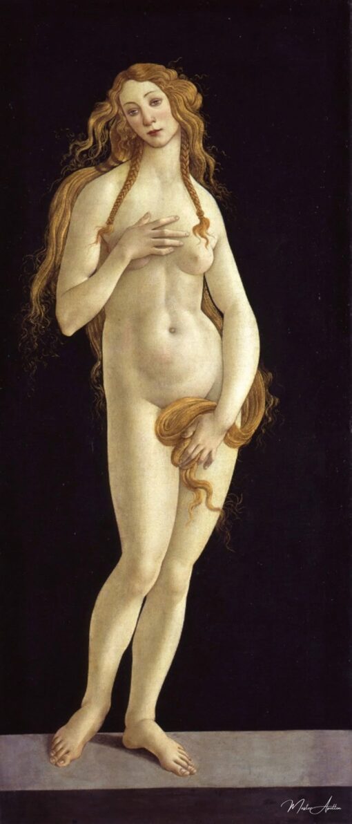 Botticelli (Atelier), Nascita di Venere – Sandro Botticelli Sandro Botticelli 2025-04-19 2