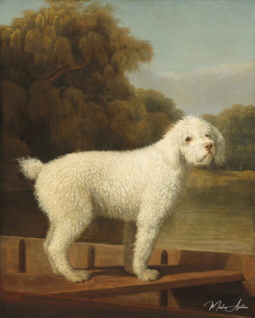 Caniche Bianco in un Punt – George Stubbs George Stubbs 2025-05-20