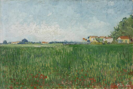 Campo di papaveri – Van Gogh Vincent Van Gogh 2025-05-19