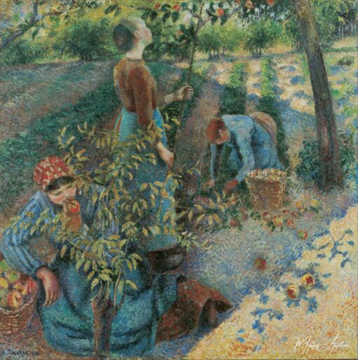 Raccolta delle mele – Camille Pissarro Camille Pissarro 2025-05-20