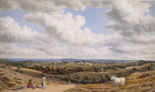 Di lavande vicino a Munstead nella New Forest guardando verso l’esterno – William Turner William Turner 2025-05-20