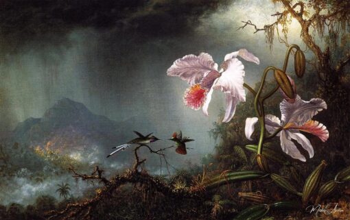 Due colibrì in combattimento con due orchidee – Martin Johnson Heade Martin Johnson Heade 2025-06-02