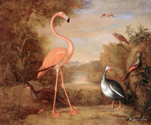 Diversi tipi di uccelli (con un fenicottero rosa) – Tobias Stranover Tobias Stranover 2025-05-28