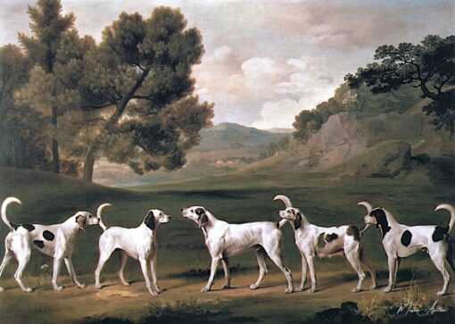 Foxhound in un paesaggio, 1762 – George Stubbs George Stubbs 2025-05-20