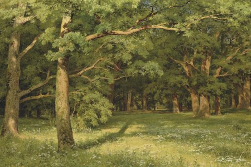 Il disboscamento della foresta – Ivan Shishkin Ivan Shishkin 2025-06-01