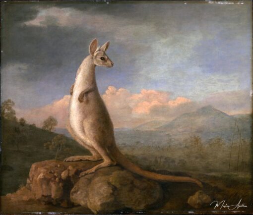 I Konguri della Nuova Olanda – George Stubbs George Stubbs 2025-05-20