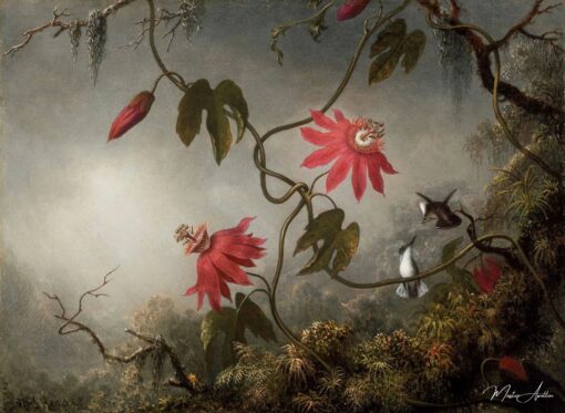I fiori della passione con i colibrì – Martin Johnson Heade Martin Johnson Heade 2025-06-02