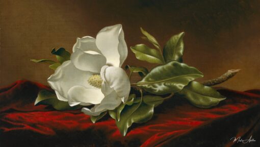 Magnolia Grandiflora – Martin Johnson Heade Martin Johnson Heade 2025-06-02