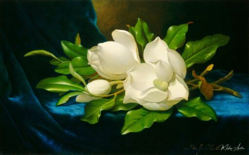 Magnolie giganti su un tessuto di velluto blu – Martin Johnson Heade Martin Johnson Heade 2025-06-02