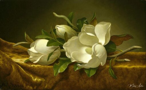 Magnolie su tessuto di velluto dorato – Martin Johnson Heade Martin Johnson Heade 2025-06-02