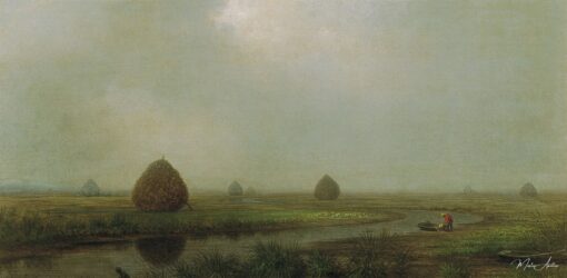 Marais di Jersey – Martin Johnson Heade Martin Johnson Heade 2025-06-02
