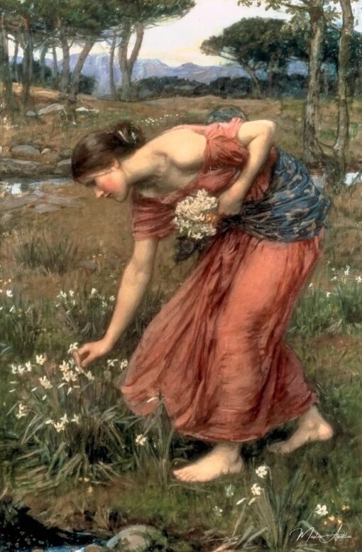 Narciso – John William Waterhouse John William Waterhouse 2025-05-20