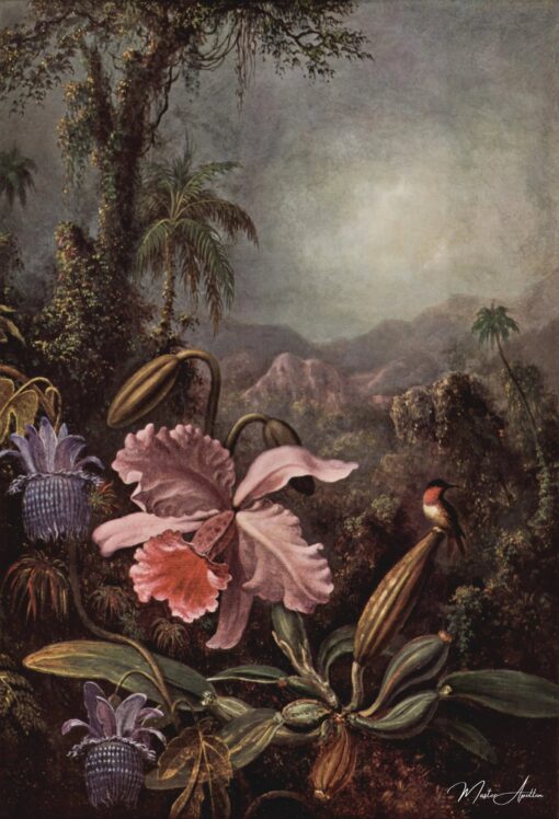 Orchidea, Passiflora e Colibrì – Martin Johnson Heade Martin Johnson Heade 2025-04-29