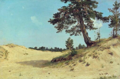 Pin nella sabbia – Ivan Shishkin Ivan Shishkin 2025-06-01