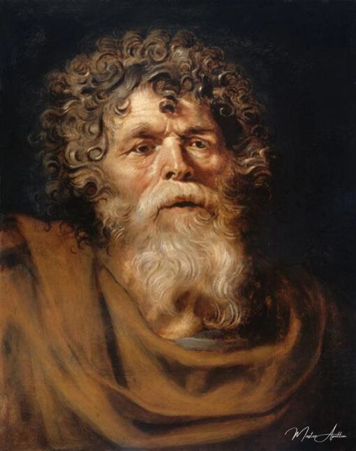 Testa di un vecchio – Peter Paul Rubens Peter Paul Rubens 2025-05-02