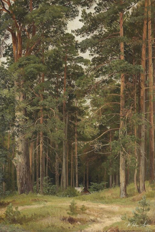 Un giorno d’estate – Ivan Shishkin Ivan Shishkin 2025-06-01
