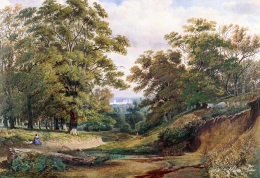 Una scena nel bosco di Bagley vicino a Oxford – William Turner William Turner 2025-05-26
